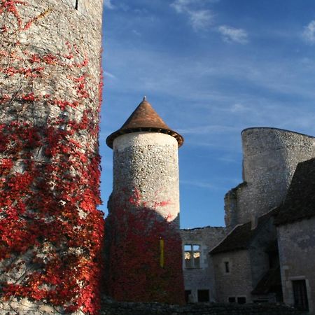 Chateau d'Ingrandes Ingrandes  Extérieur photo