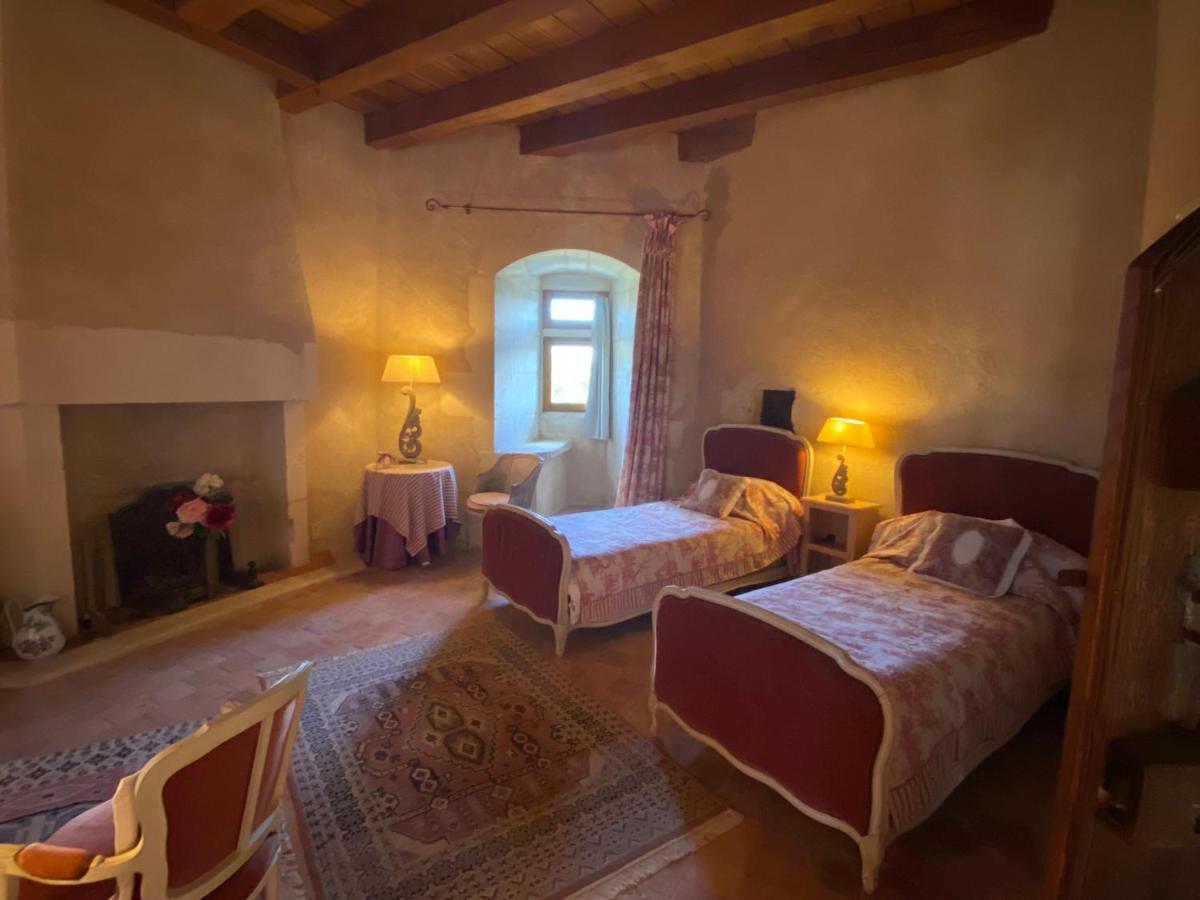 Chateau d'Ingrandes Ingrandes  Extérieur photo