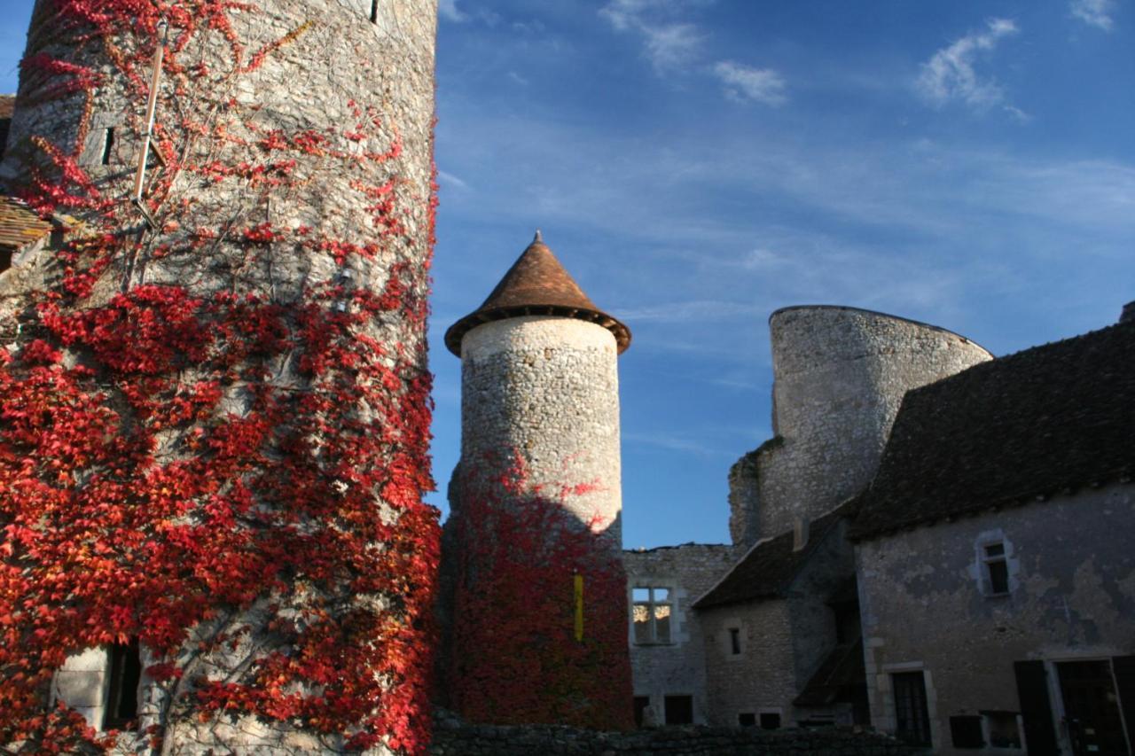 Chateau d'Ingrandes Ingrandes  Extérieur photo
