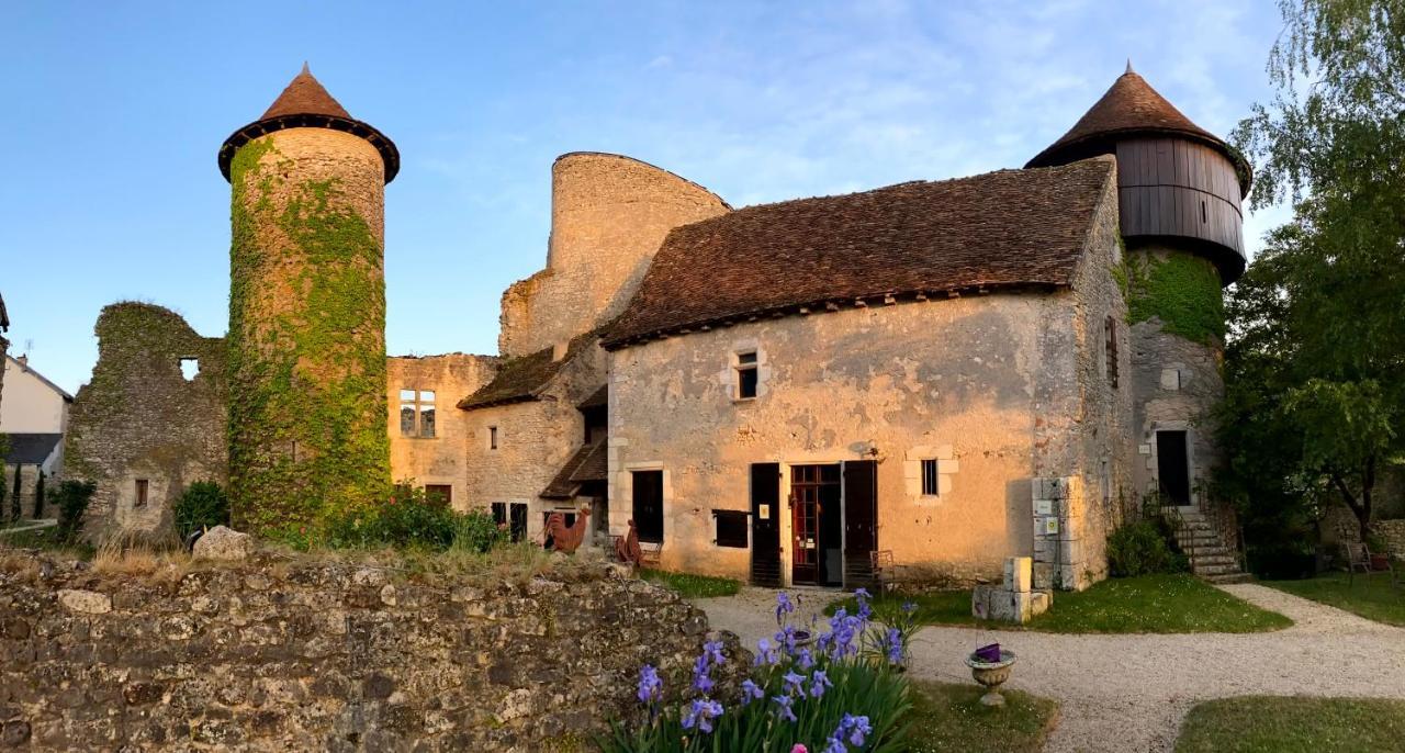 Chateau d'Ingrandes Ingrandes  Extérieur photo